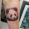 Arm Panda tattoo by Fat Foogo
