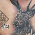 Side Belly Deer tattoo by Fat Foogo