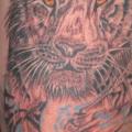 Bein Tiger tattoo von Body Graphics